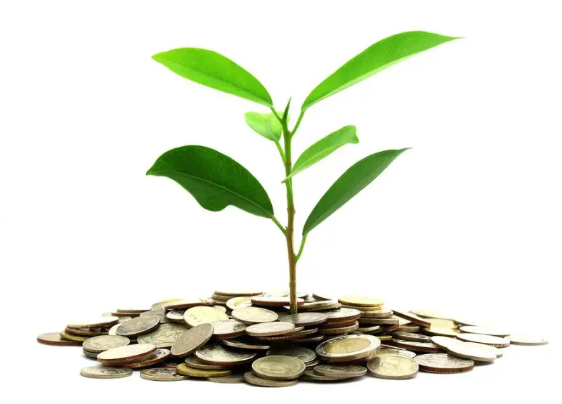 Инвестиции SKF в сохранение экологии | Свежие новости в Орле